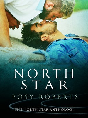 cover image of North Star